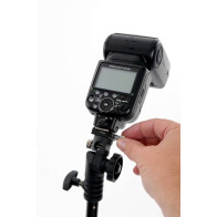 Testa inclinabile Lastolite con blocco hotshoe