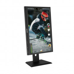 Lilliput Monitor Multiview quad-split Live Stream da 21,5"