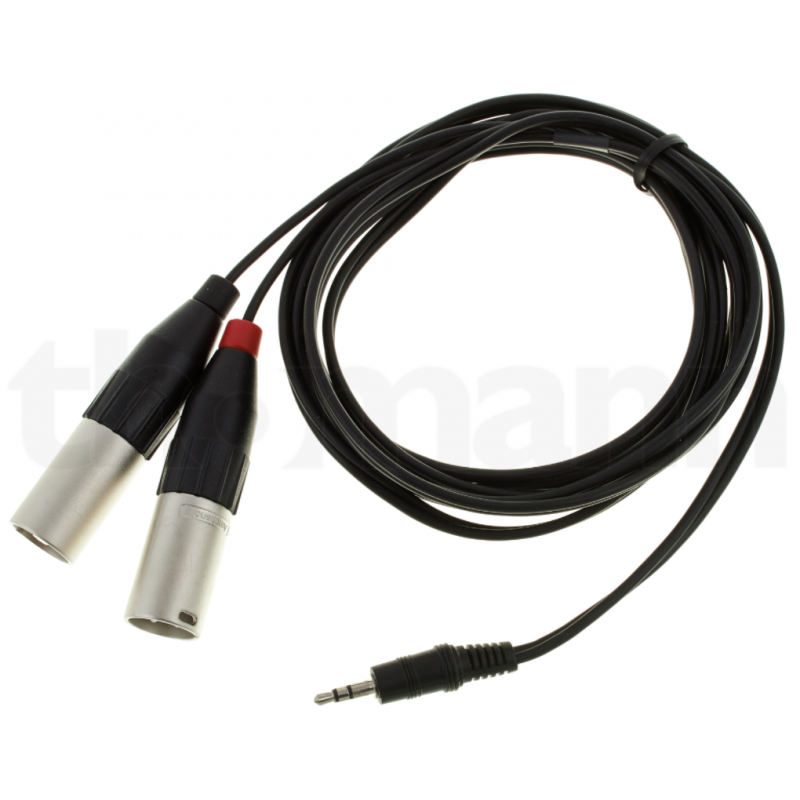 CAVO AUDIO 2 XLR Maschio / mini-jack stereo, 3m