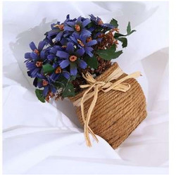 E-Image fondale bianco 3x6m in tessuto