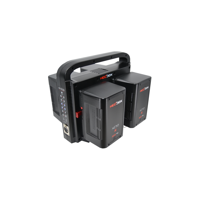 GIGABANK Kit 4 batterie HEDBOX Nero L 195Wh e RP-DC200V