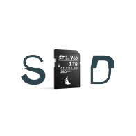 Angelbird scheda AV PRO SD MK2 1 TB V60