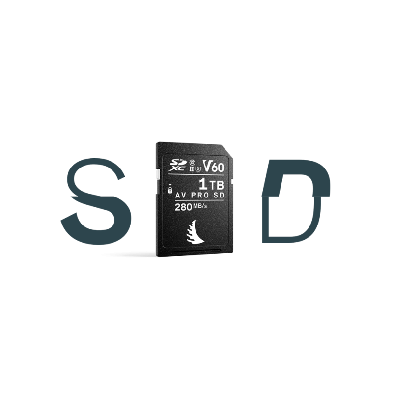 Angelbird scheda AV PRO SD MK2 1 TB V60