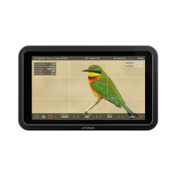 ATOMOS SHINOBI II 5" Monitor USB-C 2.0