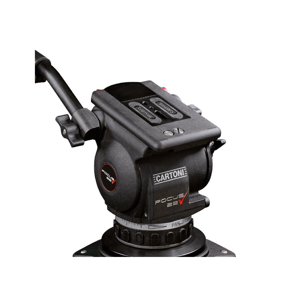 FOCUS 22  Cine Cartoni testa fluida