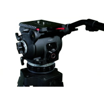 FOCUS 22  Cine Cartoni testa fluida