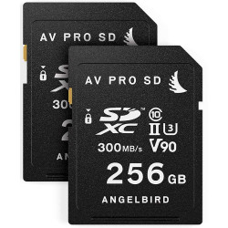 MATCH PACK PANASONIC EVA1 2x256 Angelbird pacchetto combinato 512GB per Panasonic EVA1