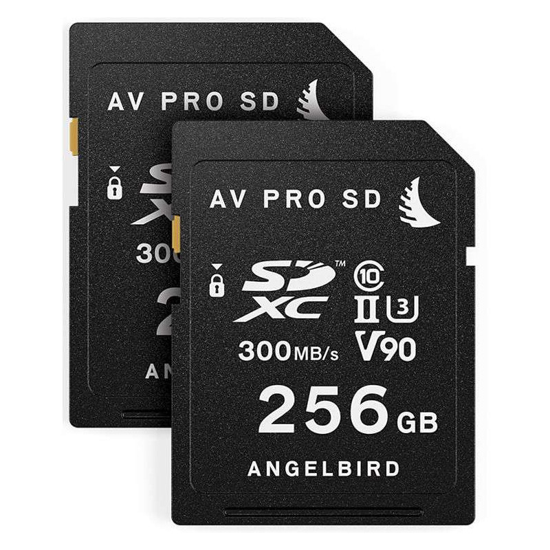 MATCH PACK PANASONIC EVA1 2x256 Angelbird pacchetto combinato 512GB per Panasonic EVA1